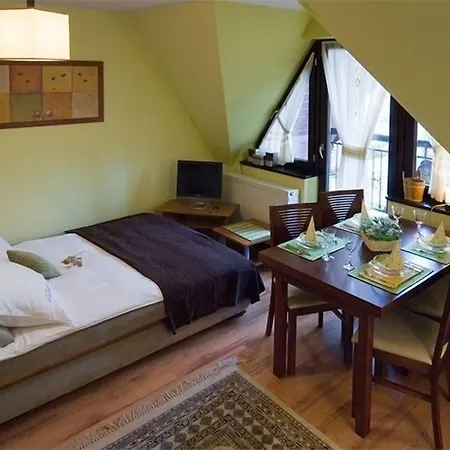 Visitzakopane - Olimp * ザコパネ